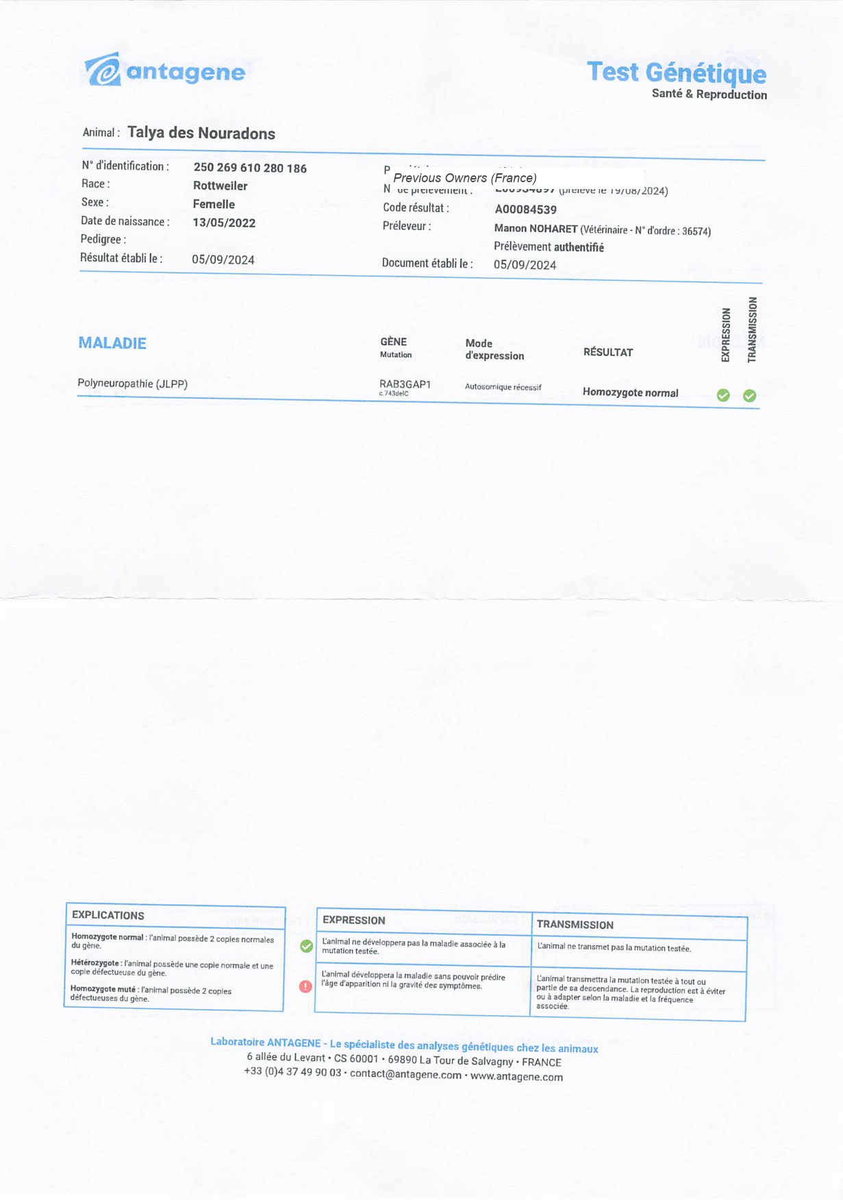 Antagene JLPP DNA test result for Talya