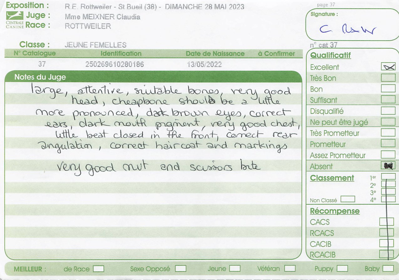 Critique sheet from R.E. St Bueil, 28 May 2023