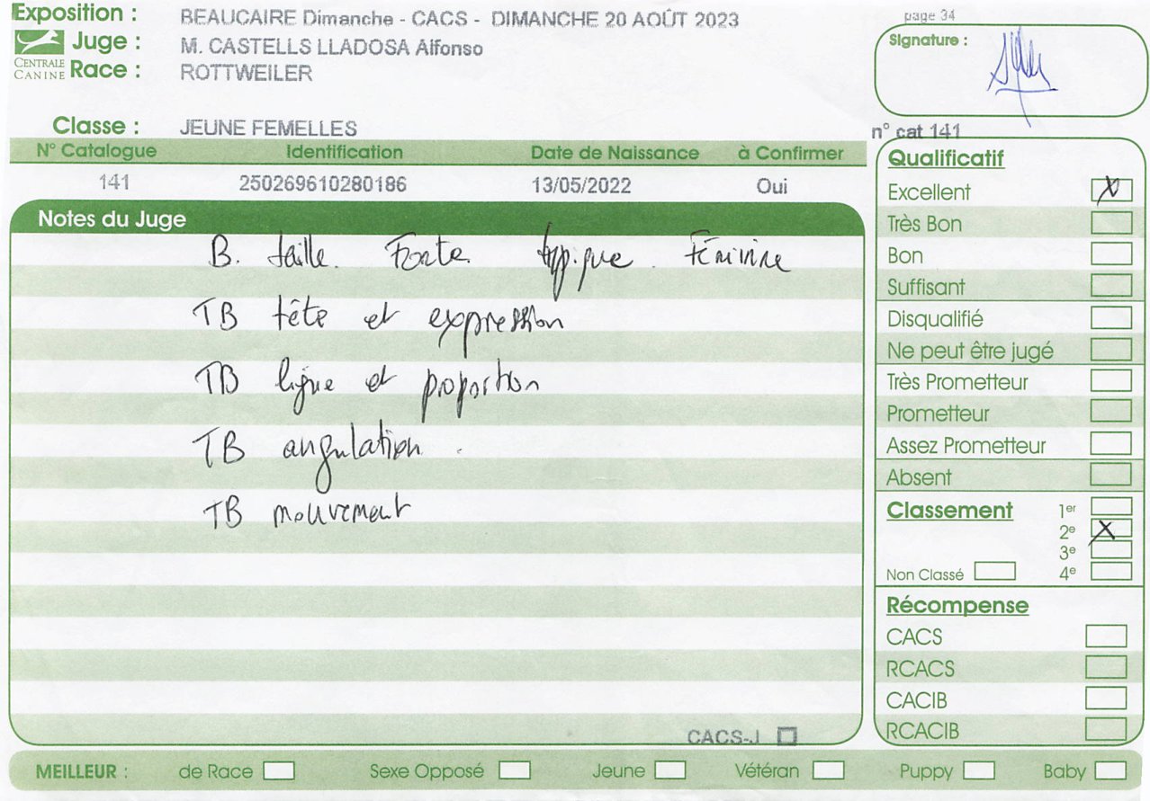 Critique sheet from Beaucaire CACS, 20 August 2023