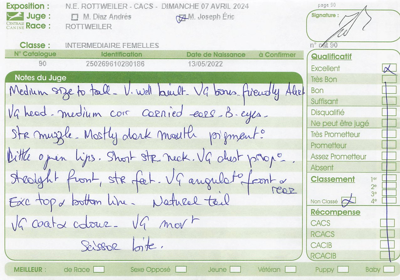 Critique sheet from N.E. Rottweiler CACS, 7 April 2024