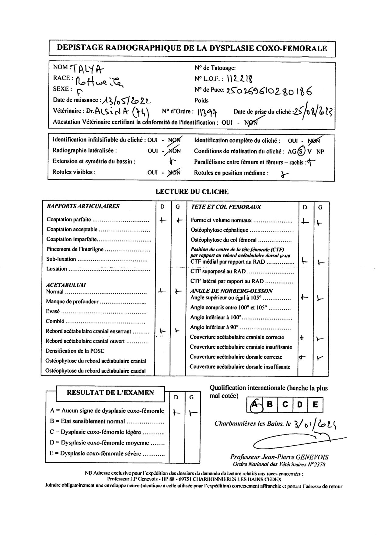 HD-A reading certificate for Talya
